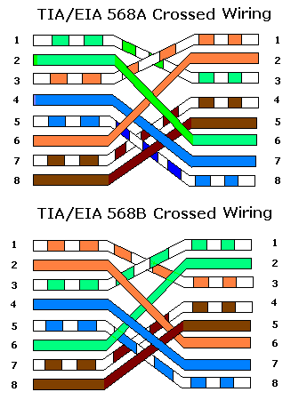 Cat5e Wiring Diagram on Cara Memasang Kabel Jaringan     Visual Basic 6 0  Mikrotik  Linux